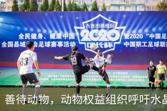 善待动物，动物权益组织呼吁水晶宫弃用活体吉祥物白头海雕凤凰